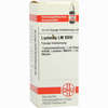 Lm Lachesis Xviii Dilution 10 ml - ab 10,30 €