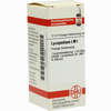 Lm Lycopodium I Dilution 10 ml - ab 9,91 €