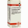 Lm Lycopodium Vi Dilution 10 ml - ab 10,19 €