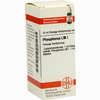Lm Phosphorus I Dilution 10 ml - ab 8,74 €
