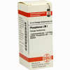 Lm Phosphorus I Dilution 10 ml - ab 10,90 €