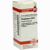 Lm Phosphorus Vi Dilution 10 ml - ab 8,96 €