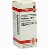 Lm Phosphorus Vi Dilution 10 ml - ab 10,19 €
