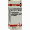 Lm Phosphorus Xxx Dilution 10 ml - ab 8,74 €