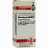 Lm Phosphorus Xxx Dilution 10 ml - ab 13,18 €