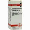 Lm Pulsatilla Iii Dilution 10 ml - ab 9,86 €