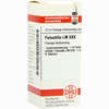 Lm Pulsatilla Xxx Dilution 10 ml - ab 10,43 €