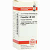 Lm Pulsatilla Xxx Dilution 10 ml - ab 13,17 €
