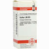 Lm Sulfur Xii Dilution 10 ml - ab 9,04 €