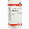 Lm Sulfur Xii Dilution 10 ml - ab 0,00 €