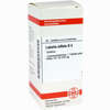 Lobelia Inflata D4 Tabletten 80 Stück - ab 8,69 €