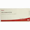 Lobus Temporalis Gl D6 Ampullen 10 x 1 ml - ab 20,26 €