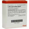Luffa Operculata- Injeel Ampullen  10 Stück - ab 0,00 €