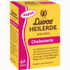 Luvos Heilerde Mikrofein Kapseln 40 Stück - ab 5,64 €