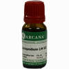 Lycopodium Arca Lm 12 10 ml - ab 10,28 €