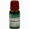 Lycopodium Arca Lm 18 10 ml - ab 8,69 €