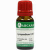 Lycopodium Arca Lm 24 10 ml - ab 9,68 €