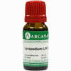 Lycopodium Arca Lm 24 10 ml - ab 12,33 €