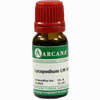 Lycopodium Arca Lm 6 10 ml - ab 9,64 €