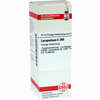 Lycopodium C200 Dilution 20 ml - ab 13,20 €