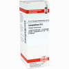 Lycopodium D6 Dilution Dhu-arzneimittel 20 ml - ab 6,94 €