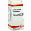 Lycopodium D6 Tabletten 80 Stück - ab 7,84 €