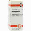 Lycopodium D8 Globuli 10 g - ab 6,98 €