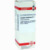 Lycopus Virg D 1 Dilution 20 ml - ab 9,24 €