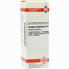Lycopus Virg D4 Dilution Dhu-arzneimittel 20 ml - ab 7,19 €