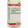 Lycopus Virg D4 Globuli 10 g - ab 7,55 €