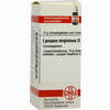 Lycopus Virginicus D12 Globuli 10 g - ab 7,55 €