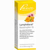 Lymphdiaral Basistropfen Sl (mischung)  20 ml