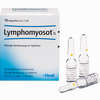 Lymphomyosot N Ampullen 10 Stück - ab 15,00 €