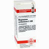 Magnesium Carb C200 Globuli 10 g - ab 12,35 €