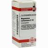 Magnesium Carb D10 Globuli 10 g - ab 6,44 €