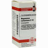 Magnesium Carb D10 Globuli 10 g - ab 7,86 €