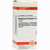 Magnesium Fluor D4 Tabletten 80 Stück - ab 9,03 €