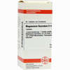 Magnesium Fluor D4 Tabletten 80 Stück - ab 0,00 €