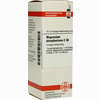 Magnesium Phos C30 Dilution 20 ml - ab 7,31 €