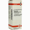 Magnesium Phos C30 Dilution 20 ml - ab 10,70 €
