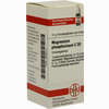 Magnesium Phos C30 Globuli 10 g - ab 7,37 €