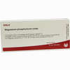 Magnesium Phos Comp Ampullen 10 x 1 ml - ab 18,72 €