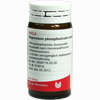 Magnesium Phos Comp Globuli 20 g - ab 7,18 €