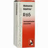Mahonia- Gastreu R65 Tropfen 50 ml - ab 13,54 €