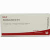 Mandibula (feti) Gl D12 Ampullen 10 x 1 ml - ab 19,41 €