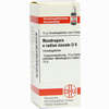 Mandragora E Radic Sic D6 Globuli 10 g - ab 7,55 €