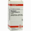 Mandragora E Radic Sic D6 Tabletten 80 Stück - ab 7,76 €