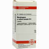 Mandragora E Radic Sic D6 Tabletten 80 Stück - ab 8,69 €