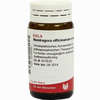 Mandragora Offic E Rad D4 Globuli 20 g - ab 7,18 €