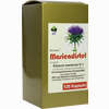 Mariendistel Bioxera 120 Stück - ab 27,10 €